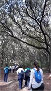 IMG-20191104-WA0050